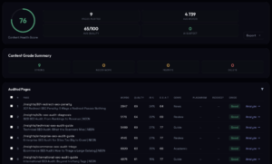 audit blog